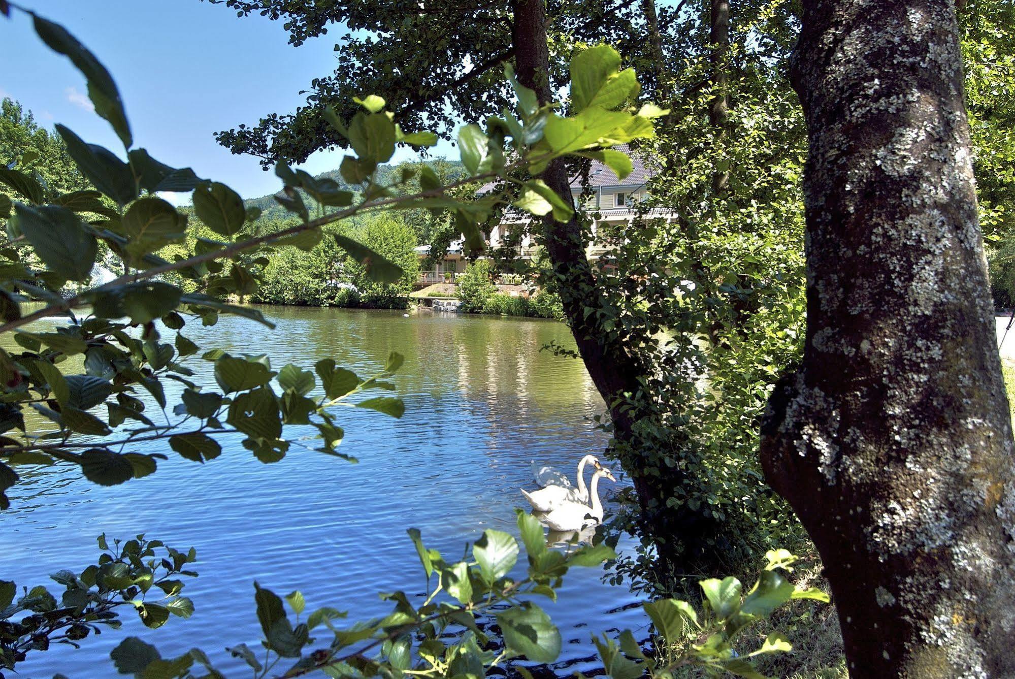 Hotel Les Rives Guebwiller Luaran gambar