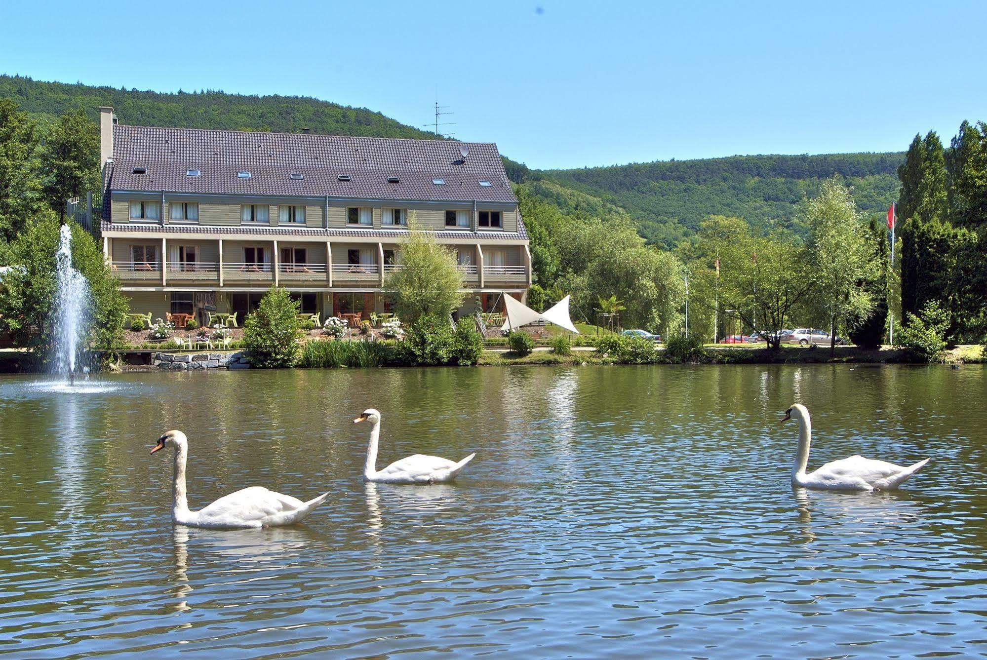 Hotel Les Rives Guebwiller Luaran gambar